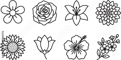 Eight elegant line-drawn flowers illustration set