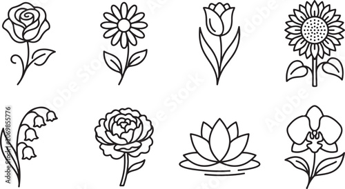 Set of eight elegant line-drawn flowers illustration
