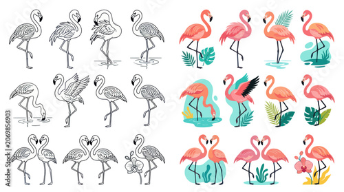Flamingo Collection: Line Art & Colorful Illustrations
