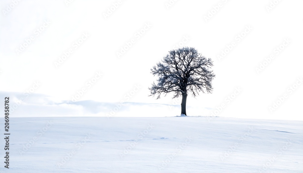 Fototapeta premium A solitary leafless tree stands against a vast, bright white backdrop of winter snow and sky. The scene is minimalist and serene