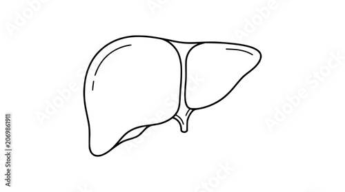 Tableau sur toile Human Liver Anatomy Outline Icon - Simple Medical Illustration