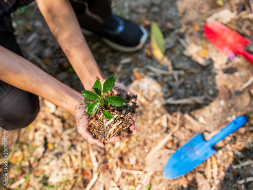 Принти на полотні Hands holding young plant for ecological sustainability and environmental protection concept