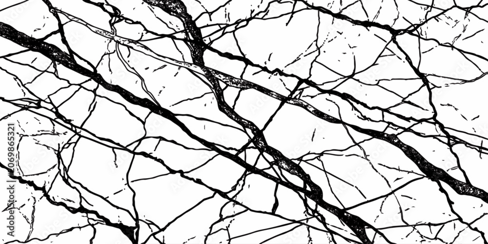 Obraz premium Natural Crack Texture Background with Organic Fracture Lines and Distressed Surface Pattern.