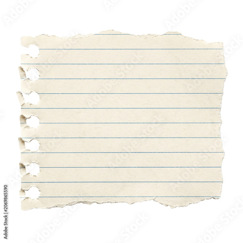 Torn Notebook Paper Scrap with Ruled Lines Isolated on White Background PNG Mockup