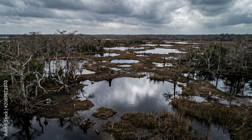 Melancholic brackish water pools reflecting moody grey sky inside mysterious coastal swamp forest landscape scenery