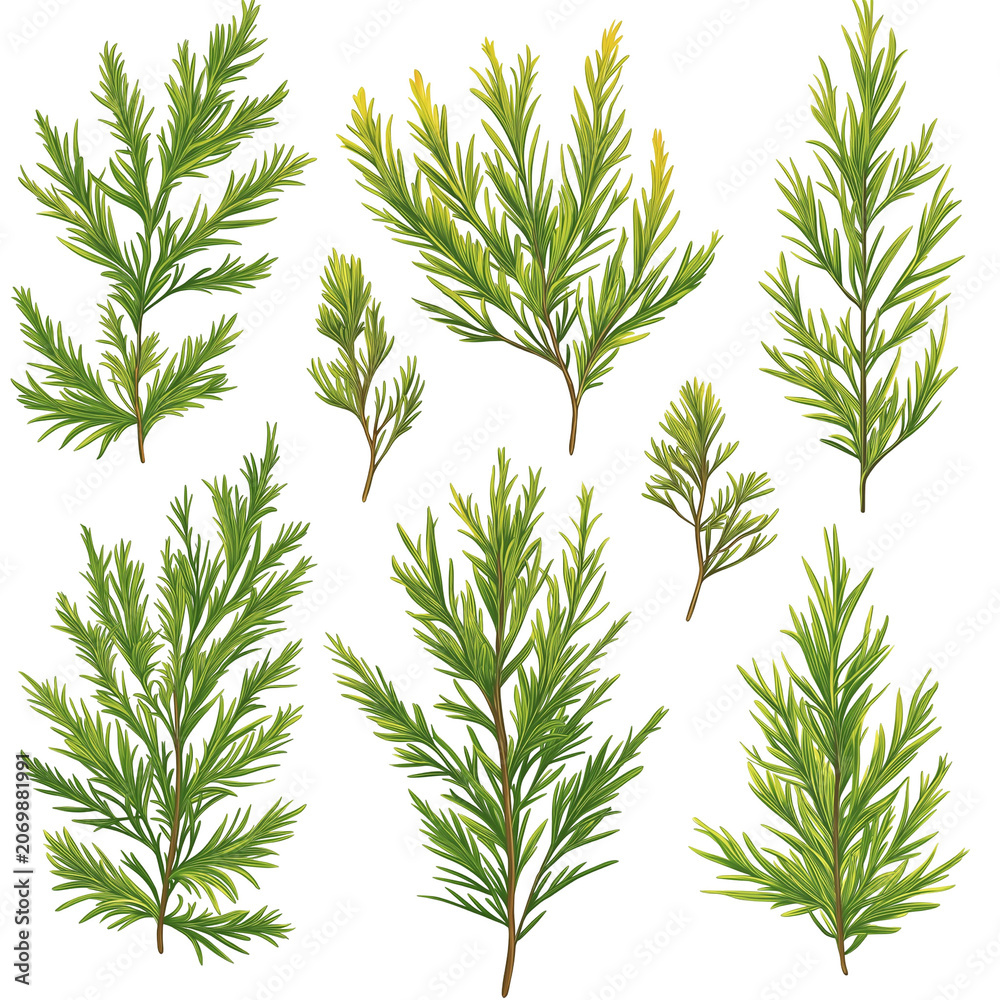 Fototapeta premium Detailed Illustration of Vibrant Green Foliage Branches