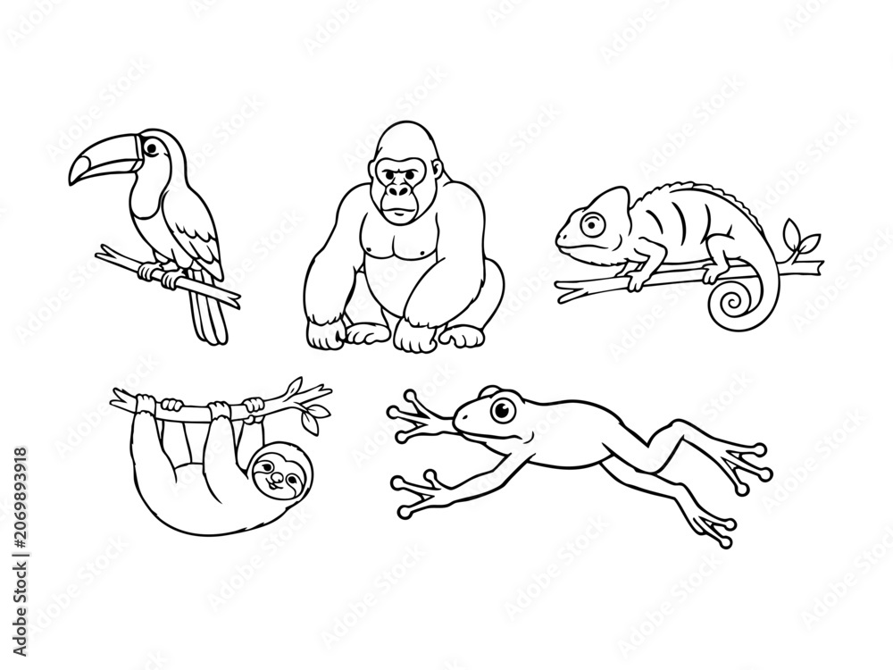 Fototapeta premium Jungle Animals Outline Collection Toucan, Gorilla, Chameleon, Sloth, Frog