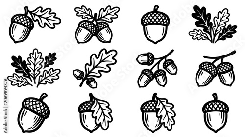 Collection of Hand-Drawn Acorns and Oak Leaves in Various Arrangements.