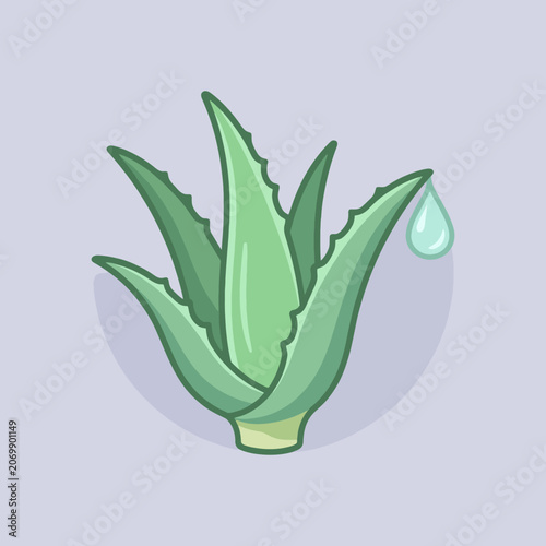 A green succulent plant with a single water droplet falling down