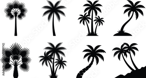 Tropical Palm Tree Silhouette Collection with Exotic Island Landscape Elements