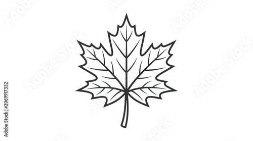 Foto Maple leaf outline with detailed veins and pointed lobes
