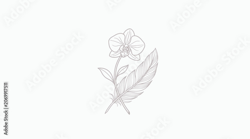 Orchid Flower and Feather Line Art Illustration
