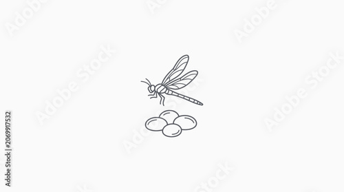 Minimal Dragonfly and Eggs Outline Vector Icon