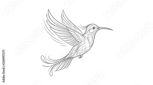 Hummingbird in flight with elegant wings and detailed feathers