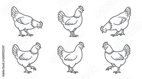 Schilderij op canvas Chicken line art set with poultry in walking and pecking poses