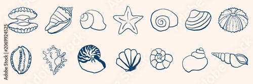 Sea shells and marine life in minimalist mediterranean style. Flat vector ocean seashell, starfish, clam, and oyster beach design elements