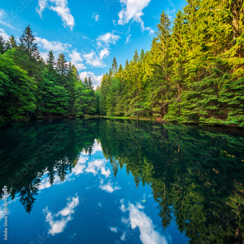 Fichentenwald spiegelt sich in einem kleinen See im Thüringer Wald, Oberhof, Thüringen, Deutschland 
