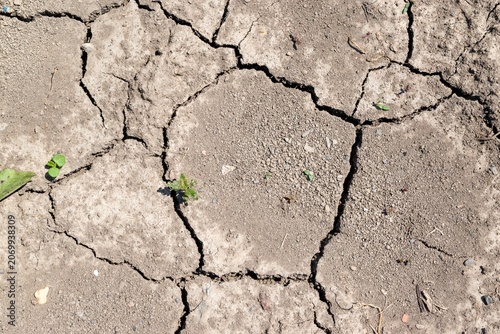 Billede på lærred Cracked Dry Soil Caused by Drought and Climate Change