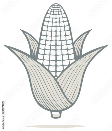 Stylized Illustration of a Fresh Corn Cob with Husk