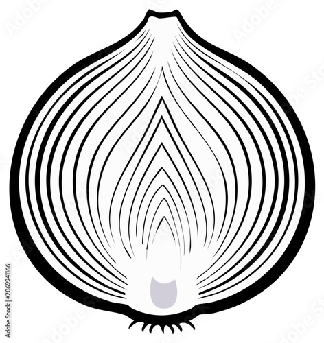 Sliced Onion Graphic Image Monochrome Black and White Line Drawing Vegetable Clip Art Fresh Ingredient Food Preparation