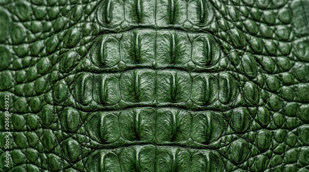 Fototapeta premium Luxury Green Crocodile Skin Texture Background Close Up Detailed Reptile Leather Pattern for Fashion Design and Premium Upholstery Projects