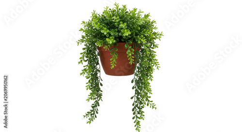 Hanging potted plant with lush green trailing leaves in modern indoor setting