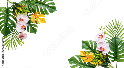 Tropical Flower Arrangement with Pink Hibiscus and Green Leaves on White Background
