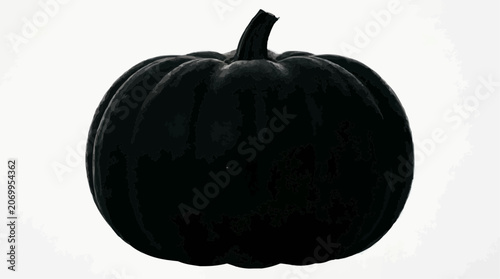 Black pumpkin on a white background, minimalistic style