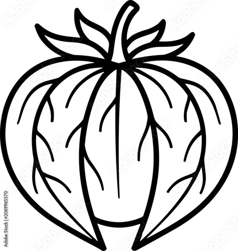 Foto Stylized Cotton Plant Icon Outline Vector, Organic Fiber Symbol