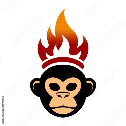 Monkey Head with Fire Crown Illustration