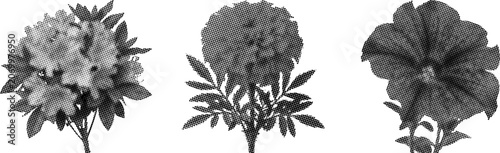 Quadro su tela Monochrome halftone floral illustrations of three different plants with leaves a