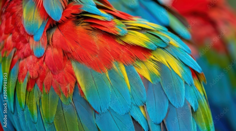 Obraz premium Vibrant Macaw Parrot Feathers Close Up Abstract Background Colorful Tropical Bird Plumage Texture Detailed Exotic Wildlife Pattern for Nature Design Projects