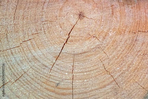Natural wood texture with grain, resin, and cracks.