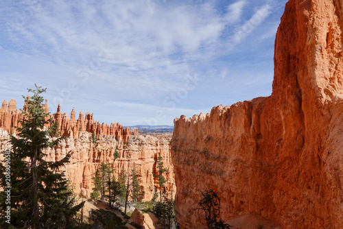 Obraz na plátně Towering orange cliff wall and intricate hoodoo amphitheater in Bryce Canyon Nat