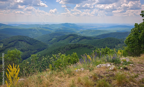 Foto Colorful wildflowers and limestone grassland at the edge of Három-kő viewpoint, overlooking the rolling forested hills of the Bükk Mountains, Hungary