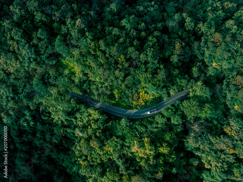 фотографія Scenic forest road symbolizing a journey toward net zero emissions, sustainability leadership, responsible investment, and climate-positive business transformation