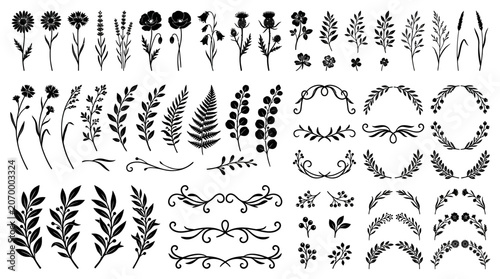 Collection of various floral designs.
