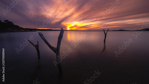 View of dead tree branches protruding from the calm water of the bay at sunset with a vibrant orange and purple sky in Vancouver Peninsula, Western Australia, Australia.