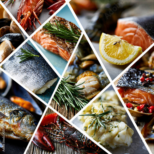 montage of different varieties fish and shellfish in a grid formation separated by a white key line creating a dynamic layout