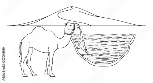 Camel stands near a desert oasis while a large dune looms in the distant background.