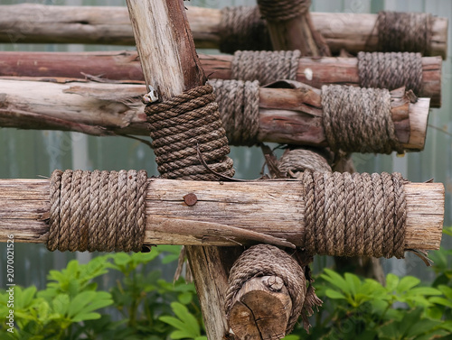 close up view of a bunch of rope on a tree