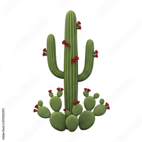 Green Saguaro Cactus with Red Flowers Isolated