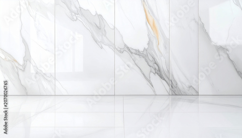 Luxury White Marble Interior with Reflective Wall and Floor