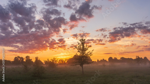 Tableau sur toile a breathtaking sunset over a misty field