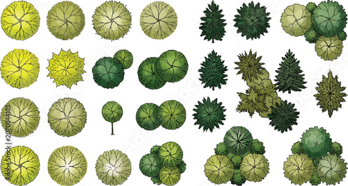 Set of top view trees for architectural landscape design plans and site maps in vector illustration format