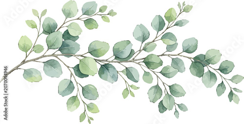 Watercolor eucalyptus branch with green leaves isolated on white background for wedding stationery and floral design projects