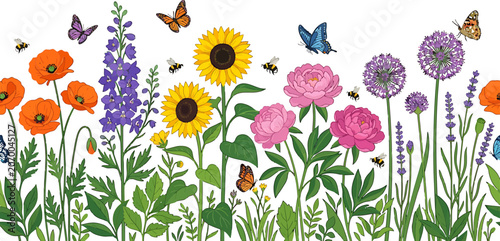 Wildflower meadow border with sunflowers poppies peonies and butterflies in a flat vector illustration for garden design