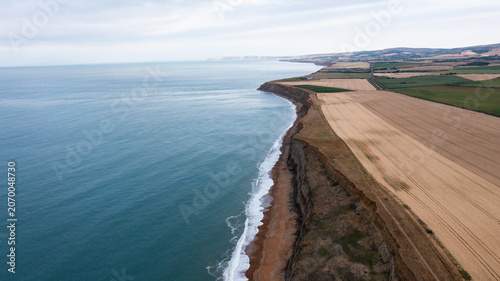 Aerial view of Whale Chine featuring high eroding cliffs, a sandy beach, and golden agricultural fields along the coastline in Ventnor, Isle of Wight, United Kingdom.