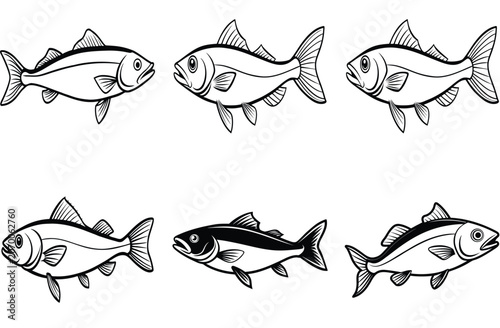 Fish icon vector set isolated on white background. food illustration sign collection.