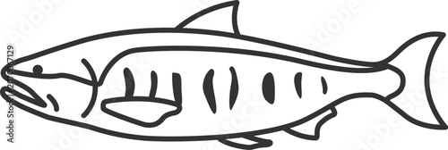 鮭（線画）のイラスト